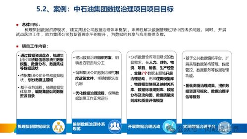 XX集團(tuán)數(shù)據(jù)治理體系建設(shè)方案 構(gòu)建高效可靠的數(shù)據(jù)處理服務(wù)