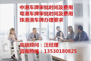 代理粵港澳車牌批文年檢延期辦理費用及商務代辦服務全解析